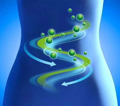 肠道微生态康健评估