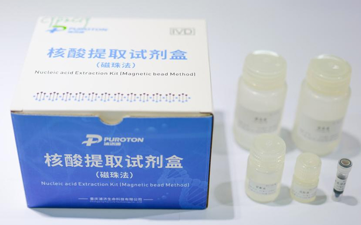 核酸提取试剂盒（磁珠法）