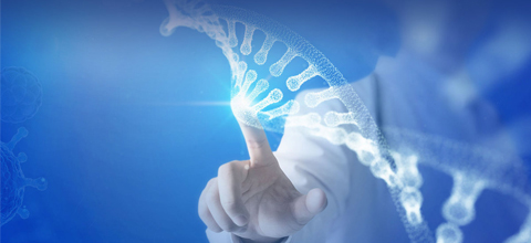 北碚区委副书记卓大林一行莅临尊龙凯时集团考察指导