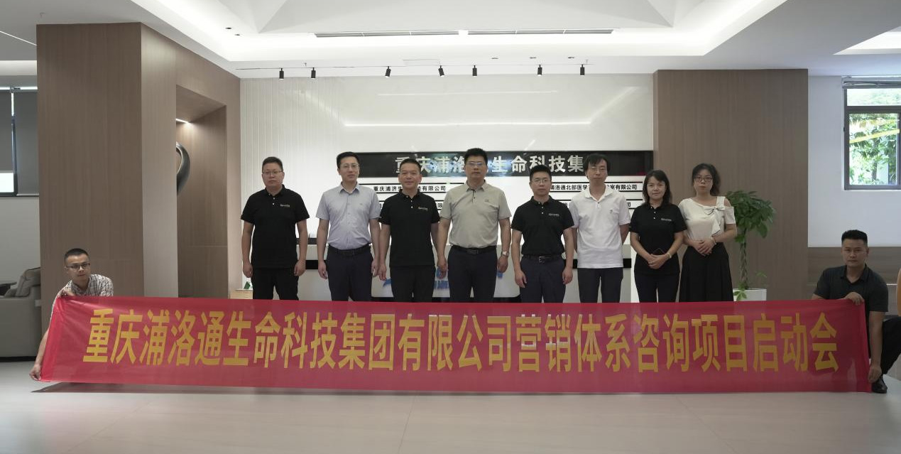 尊龙凯时：以营销系统咨询项目为契机，，，，开启治理厘刷新纪元